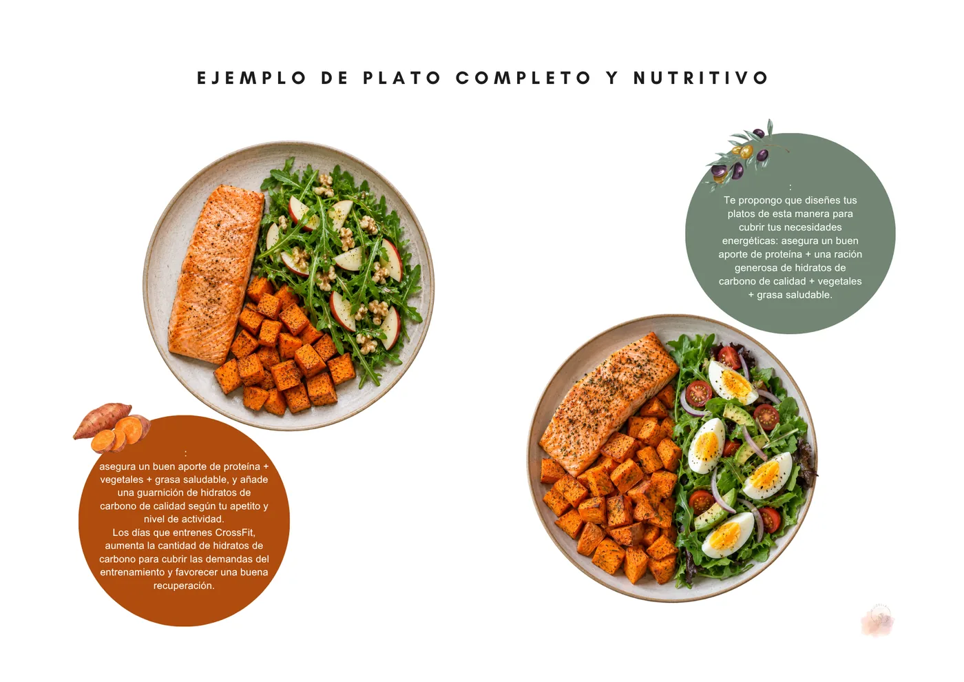 Ejemplo de plato completo y nutritivo